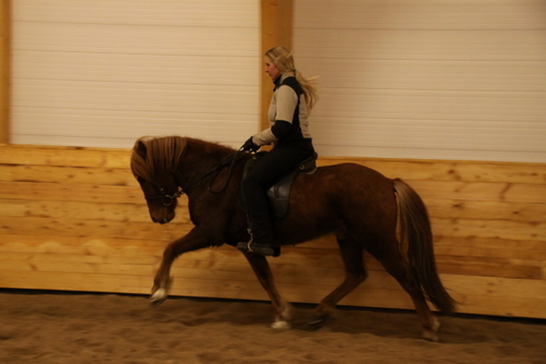 gormur_og_freyja_009 gormur_og_freyja_009