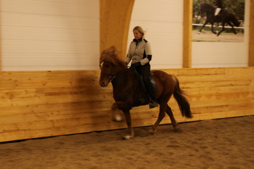 gormur_og_freyja_011-1 gormur_og_freyja_011-1