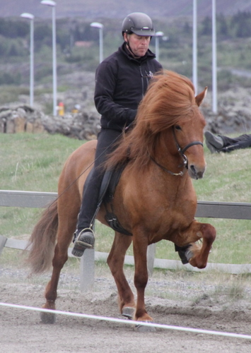 hafnarfj._28_mai_yfirlit_041 hafnarfj._28_mai_yfirlit_041