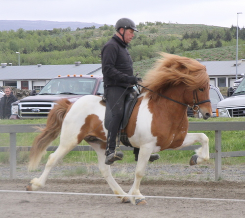 hafnarfj._28_mai_yfirlit_076 hafnarfj._28_mai_yfirlit_076