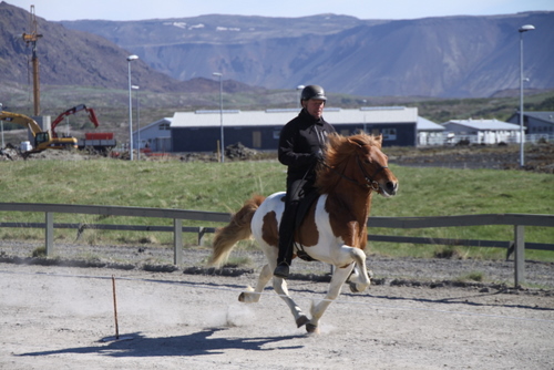 hahnarfj.25_og_27_mai10_005 hahnarfj.25_og_27_mai10_005