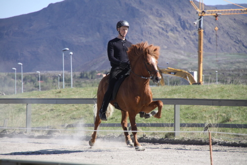 hahnarfj.25_og_27_mai10_007 hahnarfj.25_og_27_mai10_007