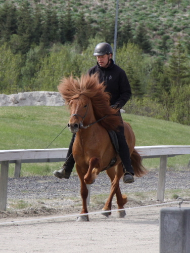 hlbari_og_hrollur_001 hlbari_og_hrollur_001