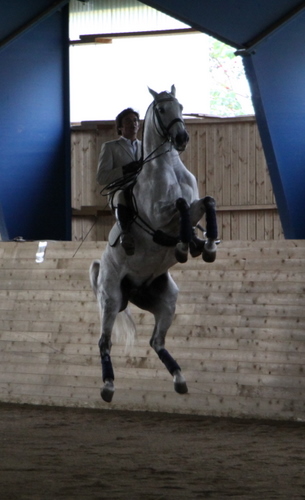 julio_og_quartso julio_og_quartso