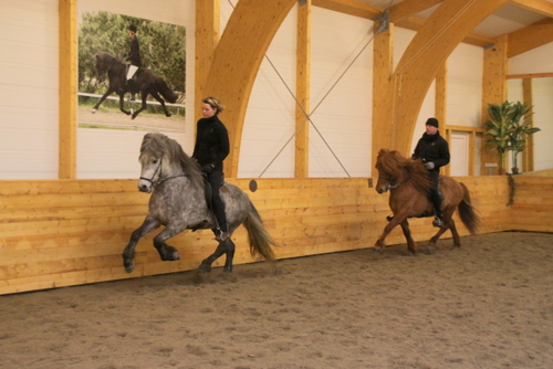 kraflarmars_004 kraflarmars_004