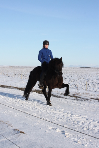 mars10_002 mars10_002