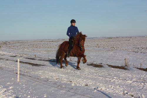 mars10_009 mars10_009