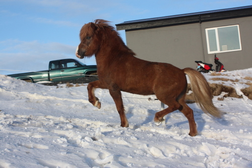 mars10_010 mars10_010