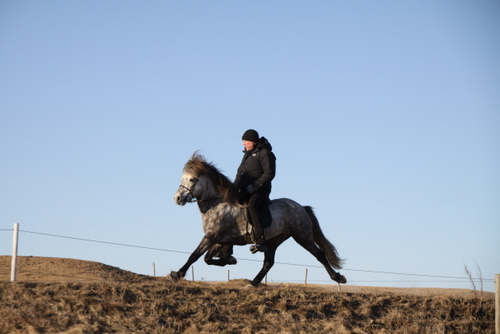 mergur_og_co.feb.10_006 mergur_og_co.feb.10_006