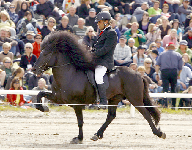 samber_300 samber_300