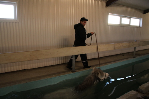 sund10_002 sund10_002