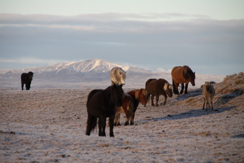 vetur_25_nov._2010_001 vetur_25_nov._2010_001