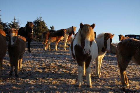 vetur_25_nov._2010_003 vetur_25_nov._2010_003