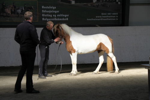 2009-09-03_sis_hella09_002