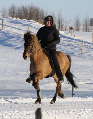 bylgja_090311_ bylgja 090311