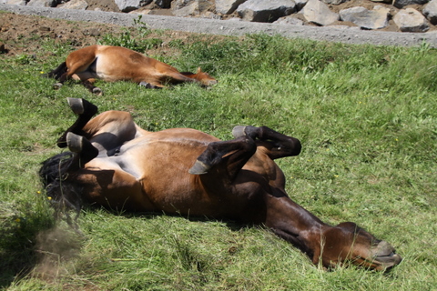 drift_og_htign_i_slbai_001 drift_og_htign_i_slbai_001