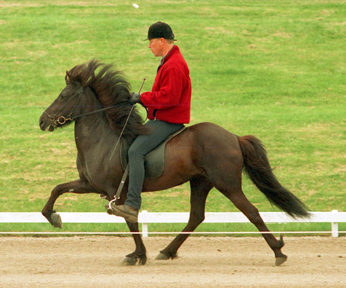 hlin_fra_ketils1 hlin_fra_ketils1