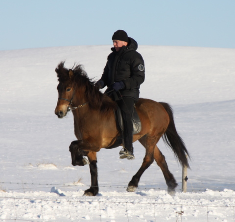 htign_090311_ htign_090311_