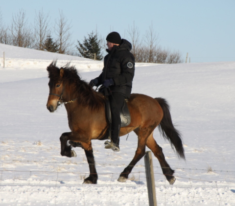 htign_090311__2 htign_090311__2