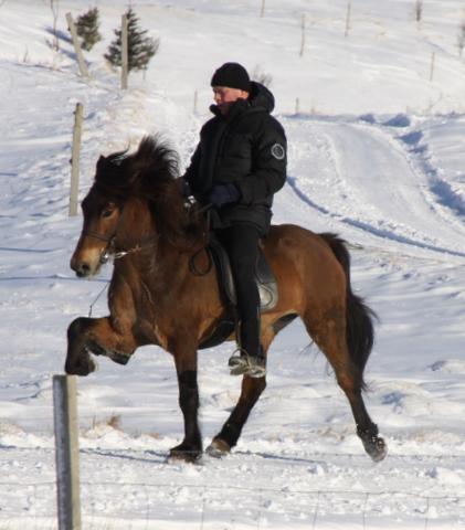 htign_090311__4 htign_090311__4