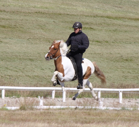 kynbtas._0710_007 kynbtas._0710_007