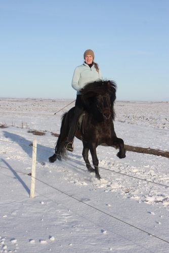 mars10_007 mars10_007