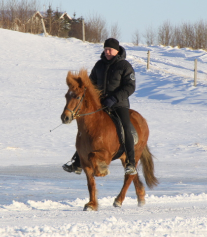 reisn__090311_ reisn__090311_