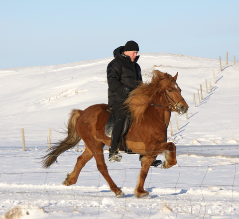 reisn__090311__2 reisn__090311__2