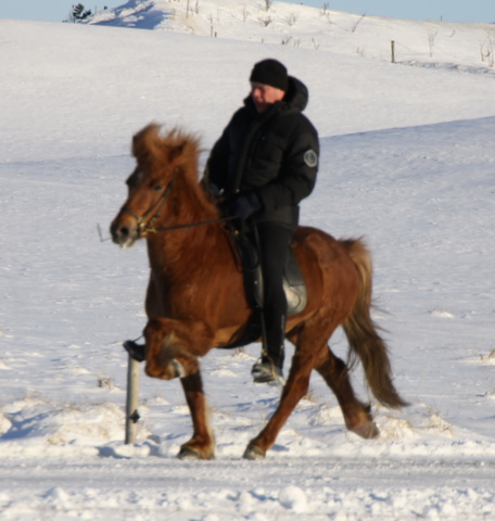 reisn__090311__3 reisn__090311__3