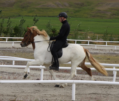 siss.mif.10_007 siss.mif.10_007