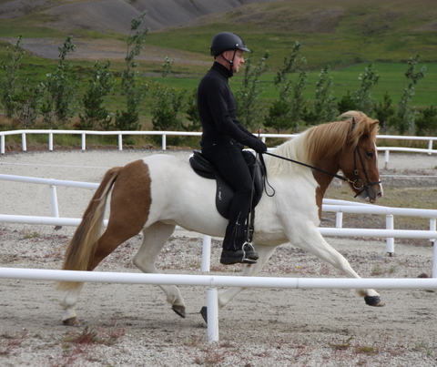 siss.mif.10_008 siss.mif.10_008