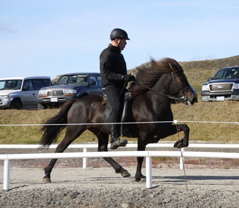 siss.mif.10_009 siss.mif.10_009