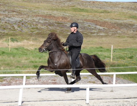 siss.mif.10_010 siss.mif.10_010