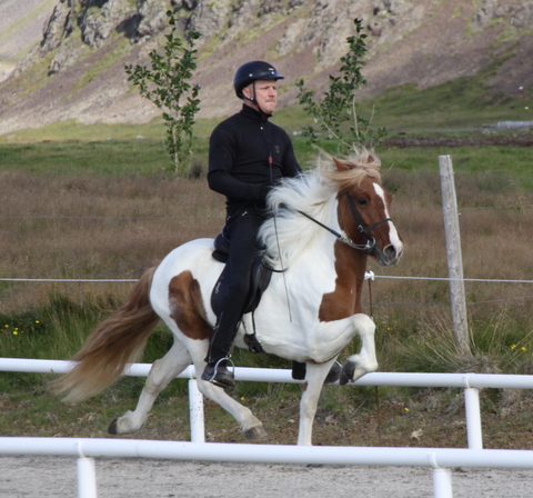 siss.mif.10_012 siss.mif.10_012