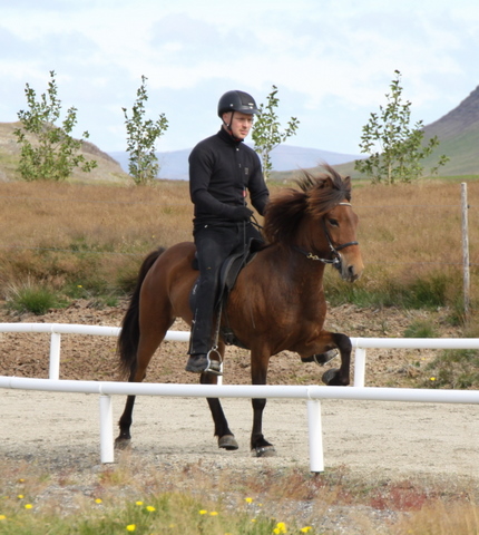 siss.mif.10_014 siss.mif.10_014