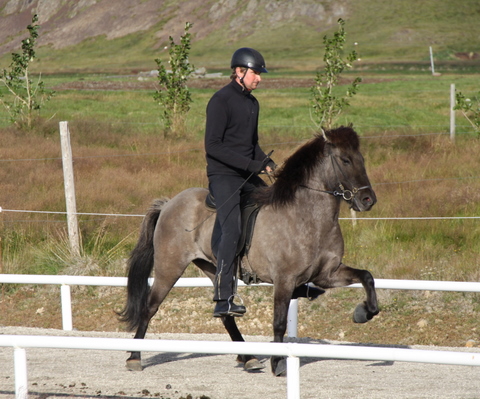 siss.mif.10_024 siss.mif.10_024