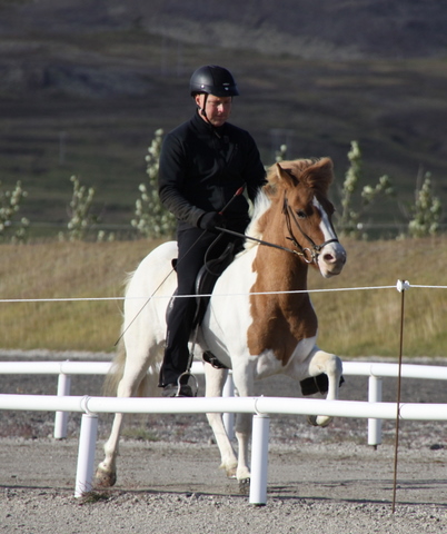 siss.mif.10_032 siss.mif.10_032