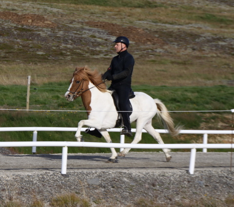 siss.mif.10_033 siss.mif.10_033