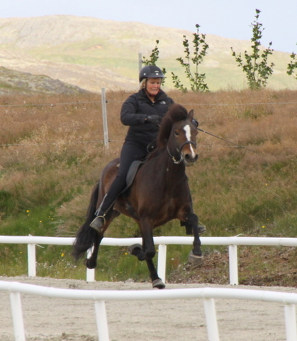 siss.mif.10_039 siss.mif.10_039