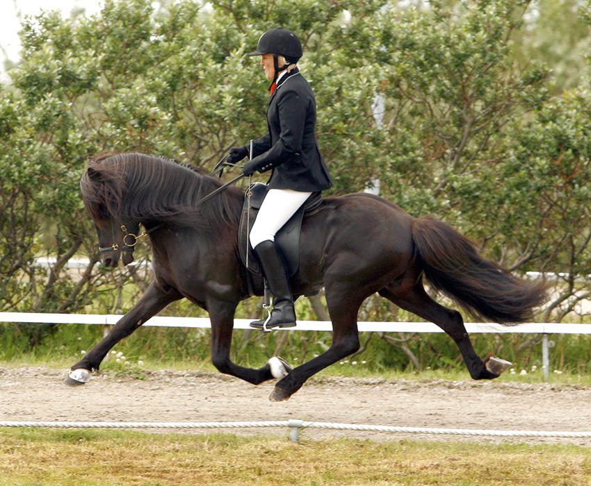 Olil Amble og Suðri Olil Amble og Suðri