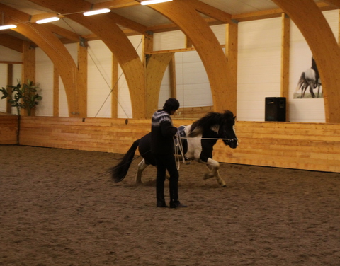 borba_nov10_008 borba_nov10_008