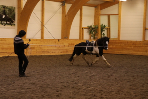 borba_nov10_012 borba_nov10_012