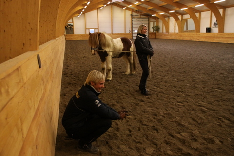 borba_nov10_017 borba_nov10_017