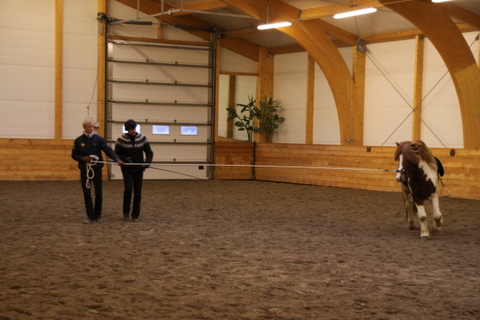 borba_nov10_023 borba_nov10_023