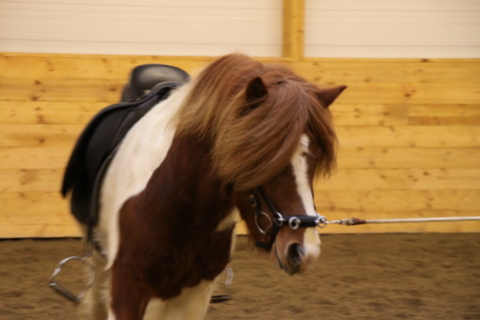 borba_nov10_028 borba_nov10_028