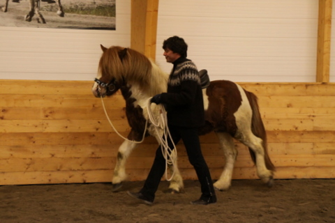 borba_nov10_029 borba_nov10_029