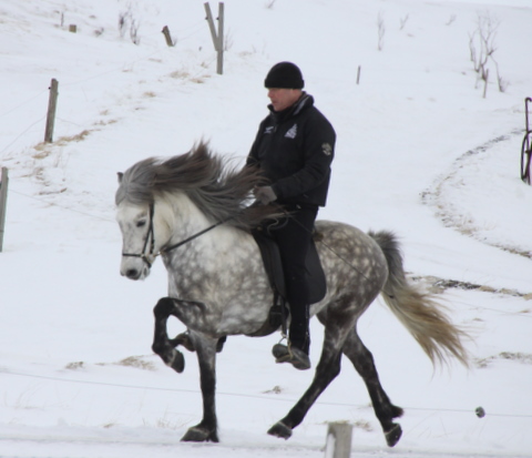 gandlfur_mars_11_005_2