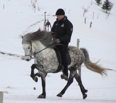 gandlfur_mars_11_006