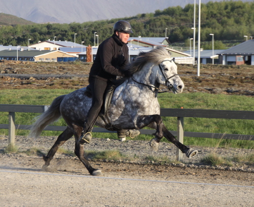 hafnarfj.25_mai10_176 hafnarfj.25_mai10_176