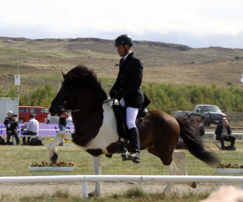 landsmt11_277-1 landsmt11_277-1